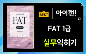 삼일FAT1급 실무